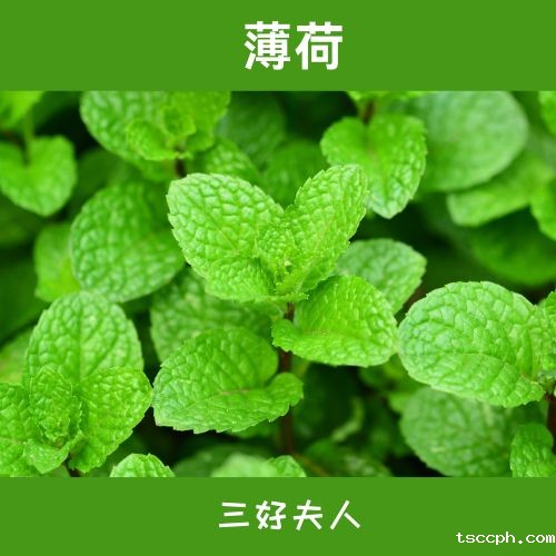 星座密码大揭秘:12星座男性如何挑选养生茶?插图9 星座密码大揭秘:12星座男性如何挑选养生茶?插图9
