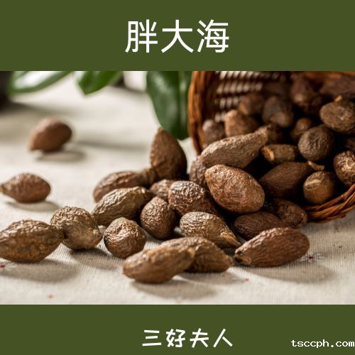 春季养生茶精选:舒缓喉咙不适,享受健康生活!插图 春季养生茶精选:舒缓喉咙不适,享受健康生活!插图