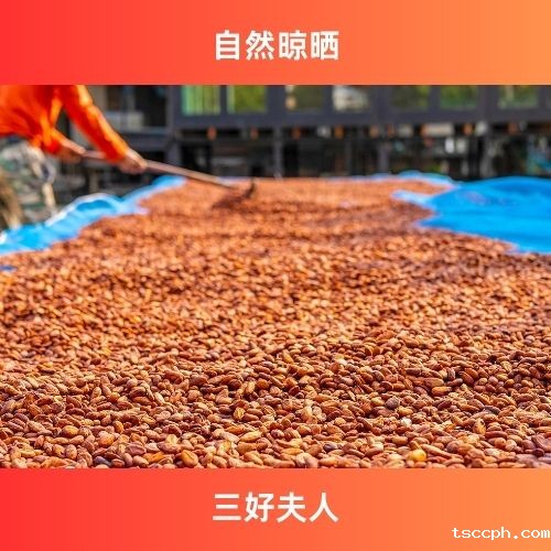 米兰体育在线投注网站生活馆:非硫磺熏制玫瑰花茶,养生新选择插图2 米兰体育在线投注网站生活馆:非硫磺熏制玫瑰花茶,养生新选择插图2