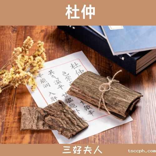 养生茶秘籍:探索无尽风味的配方宝典插图1 养生茶秘籍:探索无尽风味的配方宝典插图1