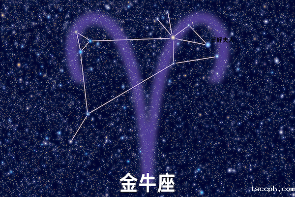 十二星座的本命茶饮大揭秘—金牛座插图1 十二星座的本命茶饮大揭秘—金牛座插图1