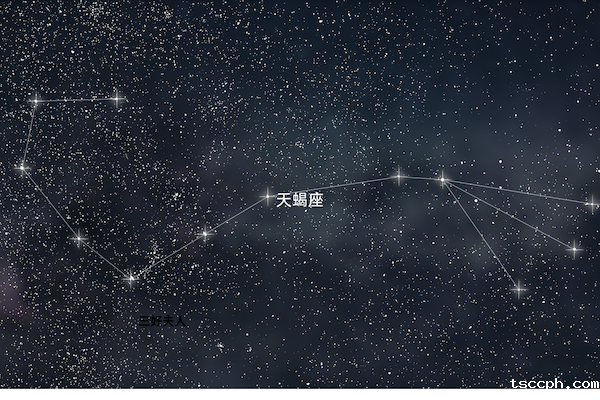 十二星座的本命茶饮大揭秘—天蝎座插图 十二星座的本命茶饮大揭秘—天蝎座插图