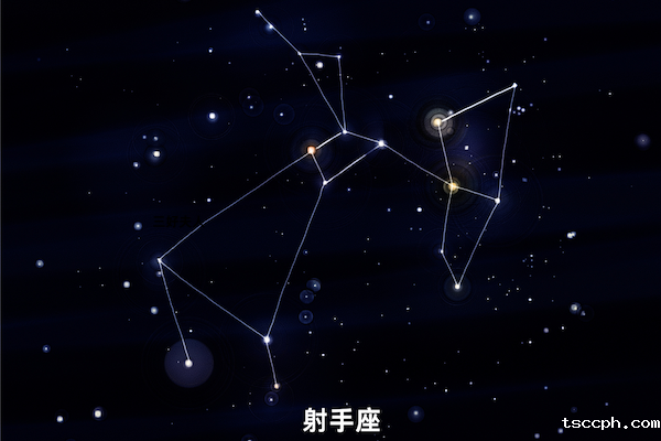 十二星座的本命茶饮大揭秘—射手座插图 十二星座的本命茶饮大揭秘—射手座插图
