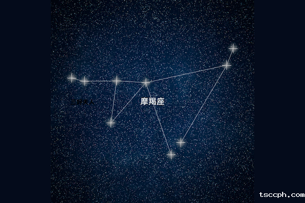 十二星座的本命茶饮大揭秘—摩羯座插图 十二星座的本命茶饮大揭秘—摩羯座插图
