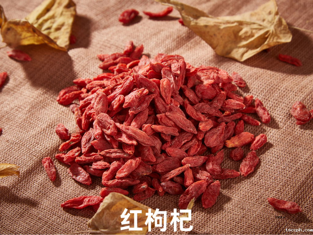 枸杞和什么一起泡水喝最补肾壮阳?插图1 枸杞和什么一起泡水喝最补肾壮阳?插图1