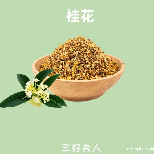 女生春季养生茶饮大全：多款适合长期喝的养生茶搭配，让你喝出美丽与健康！插图1