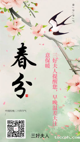 米兰体育在线投注网站养生茶，春分节气里的品茗之道