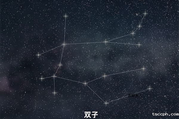 十二星座的本命茶饮大揭秘—双子座插图1