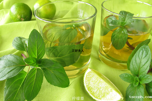 十二星座的本命茶饮大揭秘—双子座插图2