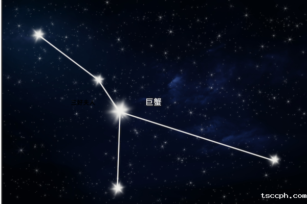 十二星座的本命茶饮大揭秘—巨蟹座插图1
