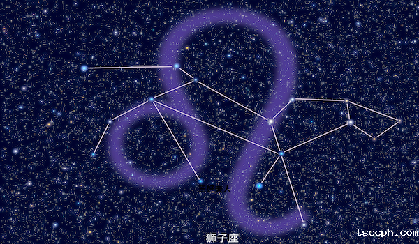 十二星座的本命茶饮大揭秘—狮子座插图1