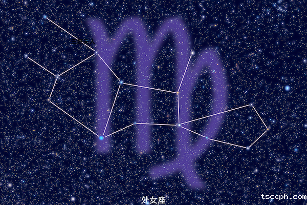 十二星座的本命茶饮大揭秘—处女座插图