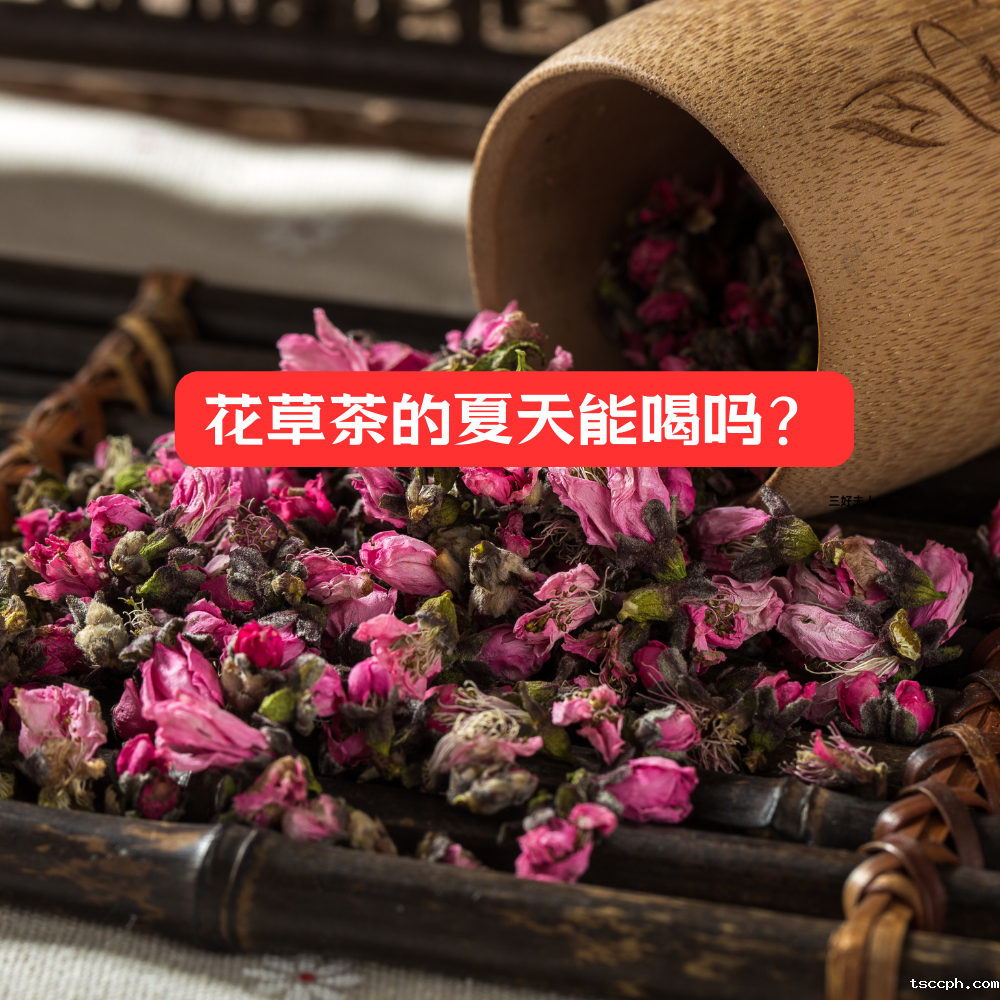 花草茶的夏天能喝吗？喝出清凉与健康插图