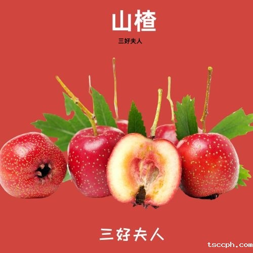 一喝就瘦减肥养生茶配方大全大公开！插图
