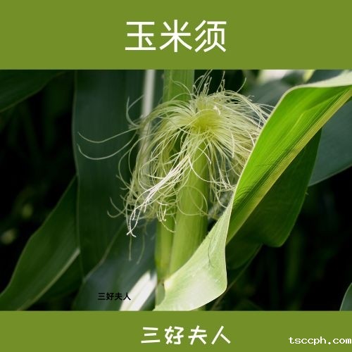 养生茶能降血压吗？自然降压的健康之选插图3