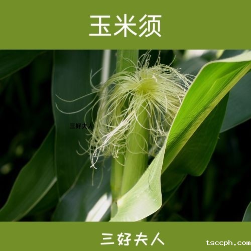 一喝就瘦减肥养生茶配方大全大公开！插图7