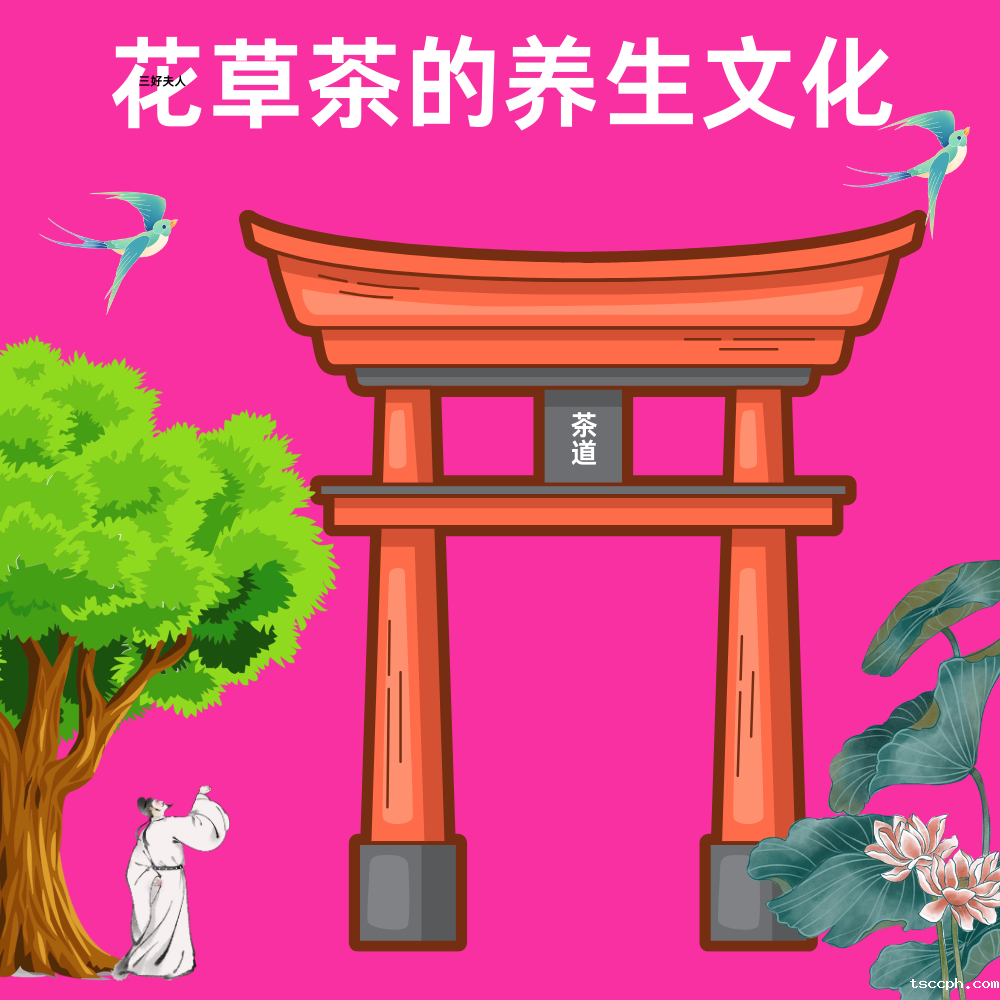 花草茶可以煮吗？物华天宝，煮出健康插图3