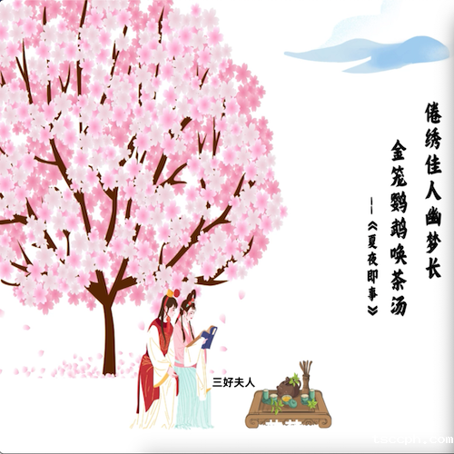 花草茶是什么茶？一分钟带你了解花草茶的前世今生