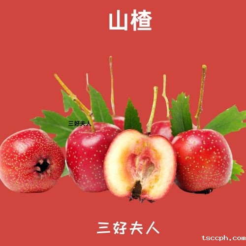 惊！你的身体藏着这些秘密，一杯茶，让你看清自己身体的真实面貌！插图5