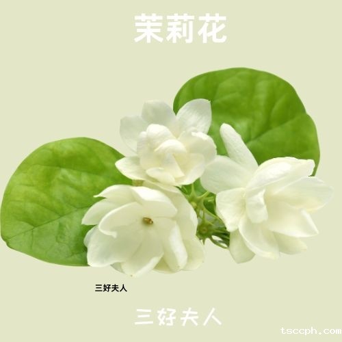 惊！你的身体藏着这些秘密，一杯茶，让你看清自己身体的真实面貌！插图7