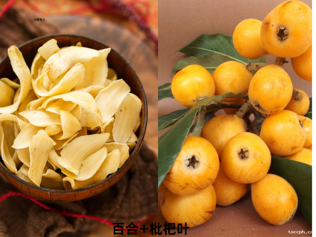 养生茶男性怎么搭配？十大男士专属养生茶配方，全是🌟五星好评，赶快收藏！插图1