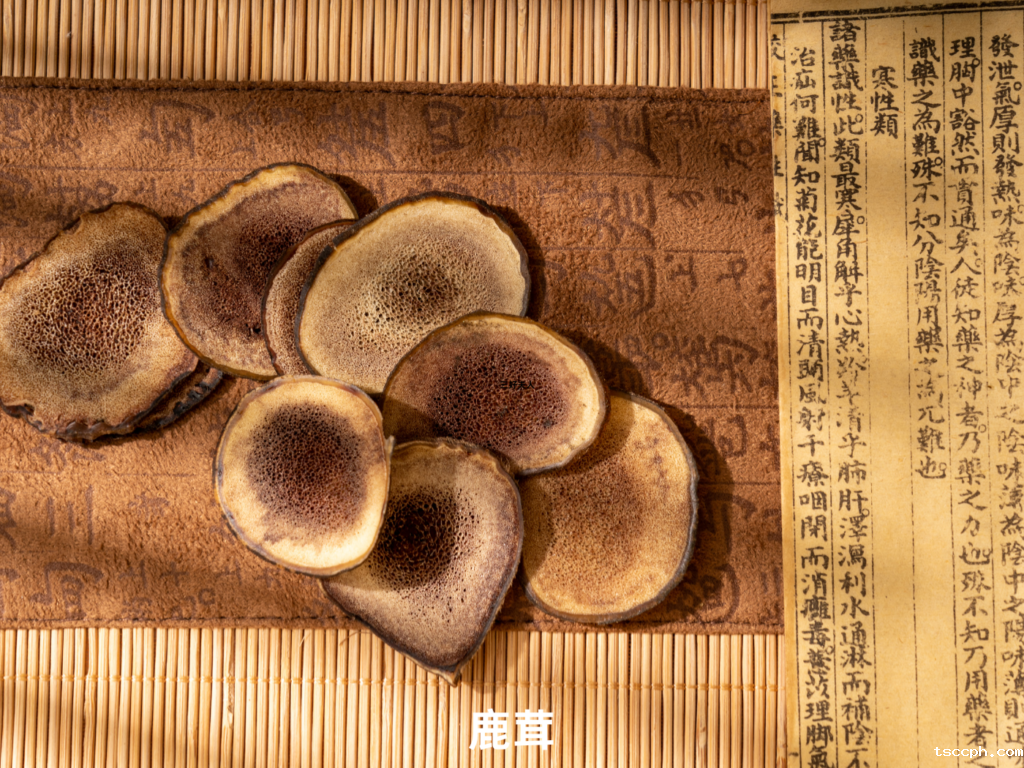 男生养生茶真的有用吗？喝出健康，助你重十八岁！插图3