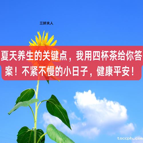 夏天养生的关键点，我用四杯茶给你答案！不紧不慢的小日子，健康平安！