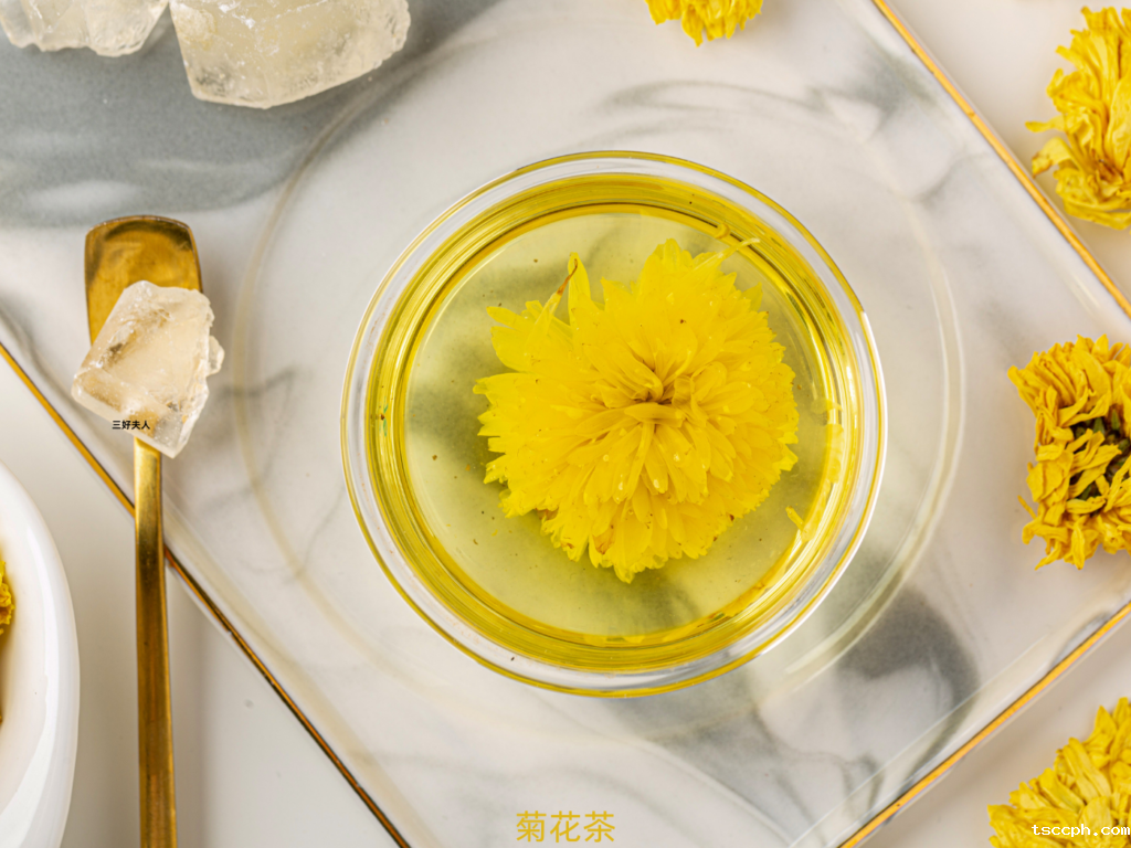 夏日排毒养生计划：让你轻松度过炎炎夏季插图3