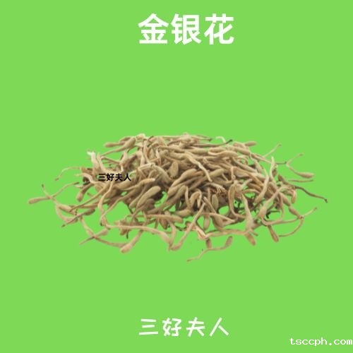 养胃护胃养生茶男士能喝吗？好好喝茶，是平凡日子里的浪漫！插图2