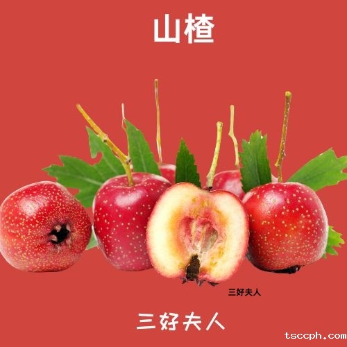 养生茶有功效吗？告别疲惫，迎接活力新生活！插图3