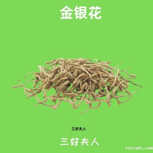 养生茶搭配大全功效和作用女性喝可以吗？插图2