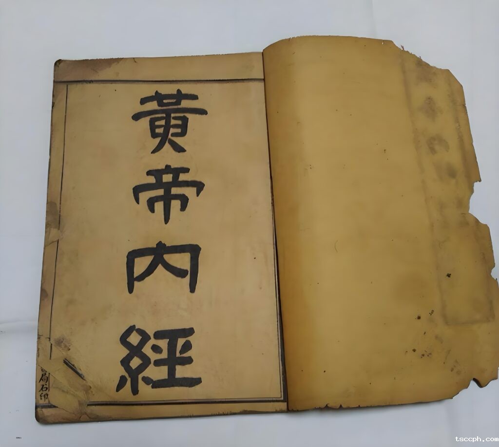 黑枸杞和红枸杞补肾哪个效果更好？插图