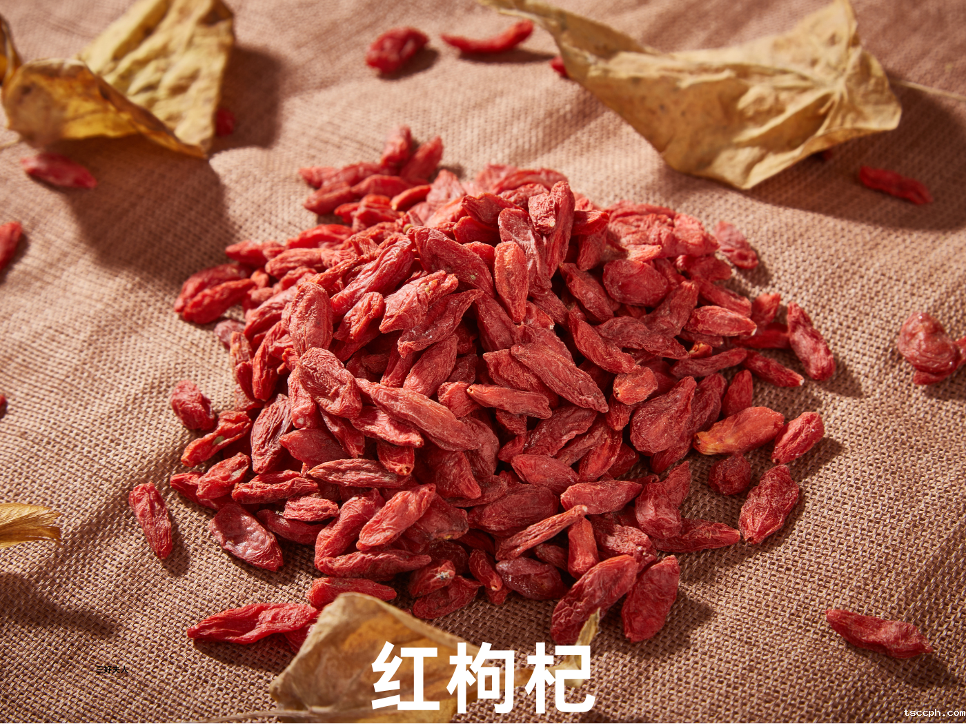 黑枸杞和红枸杞补肾哪个效果更好？