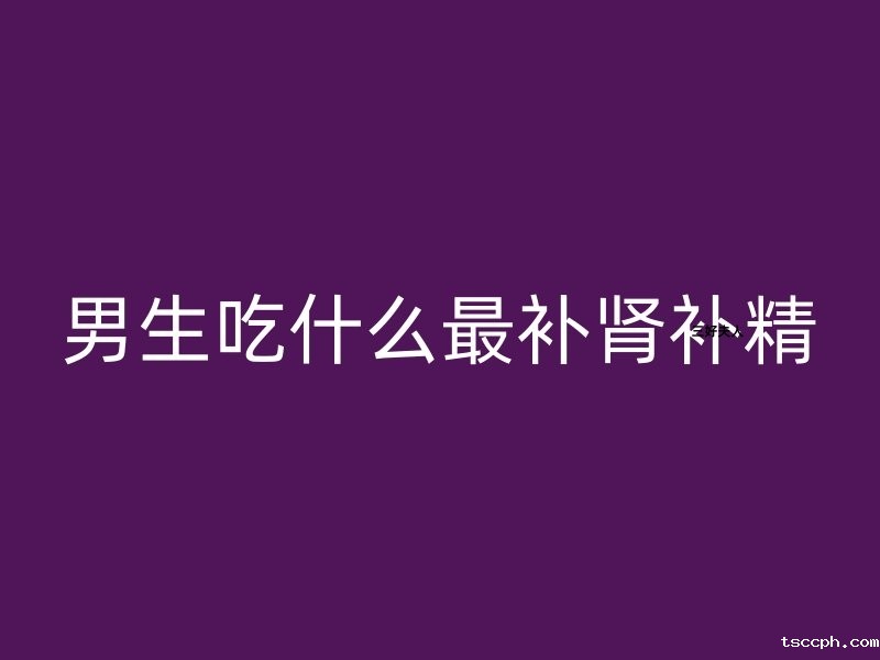 男生吃什么最补肾补精？备孕爸爸必看的备孕手册插图