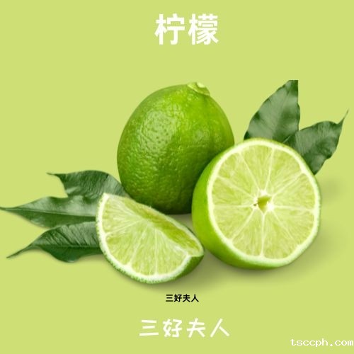 养生壶煮养生茶的各种配方大全？四季茶语，滋养身心每一天！插图2