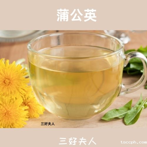 养生壶煮养生茶的各种配方大全？四季茶语，滋养身心每一天！插图4
